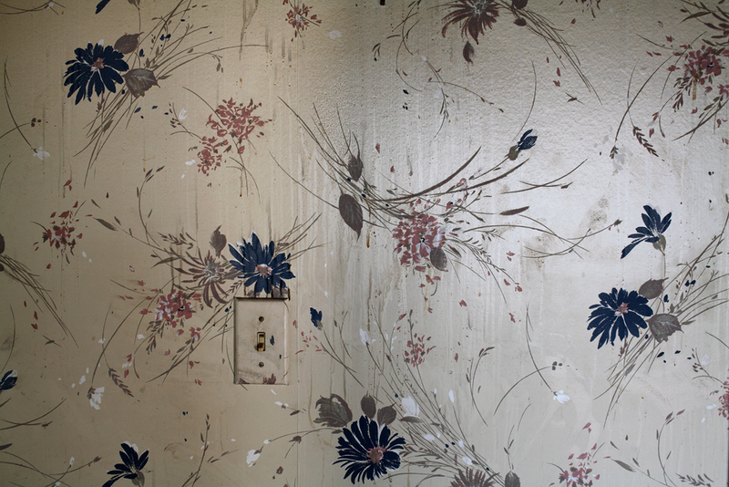 Illustration for article titled The Faded Glory of Dilapidated Modernist Homes